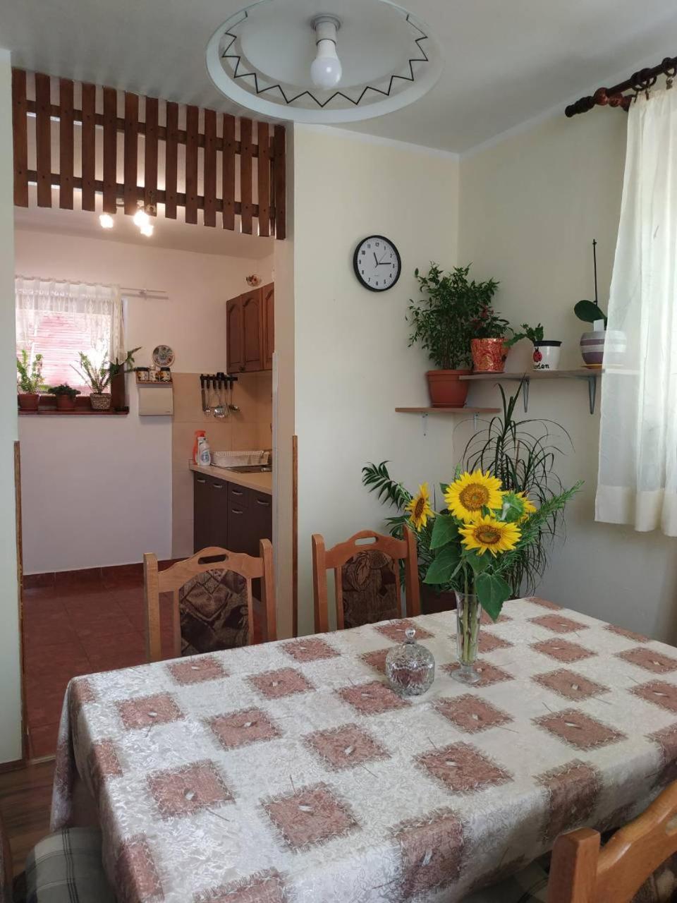Ferienwohnung Apartman Rosa Skradin Exterior foto